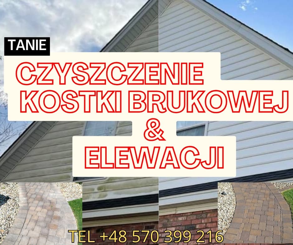 Jan Żuchowski
