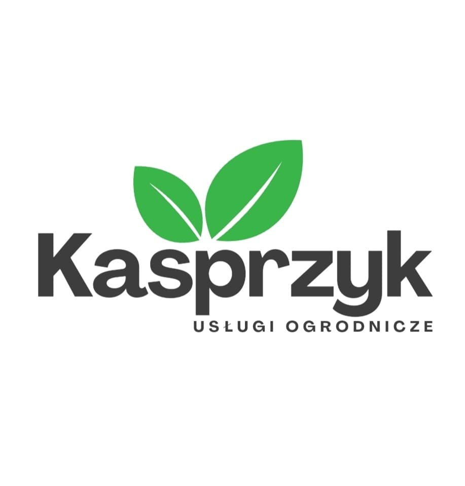 Daniel Kasprzyk 