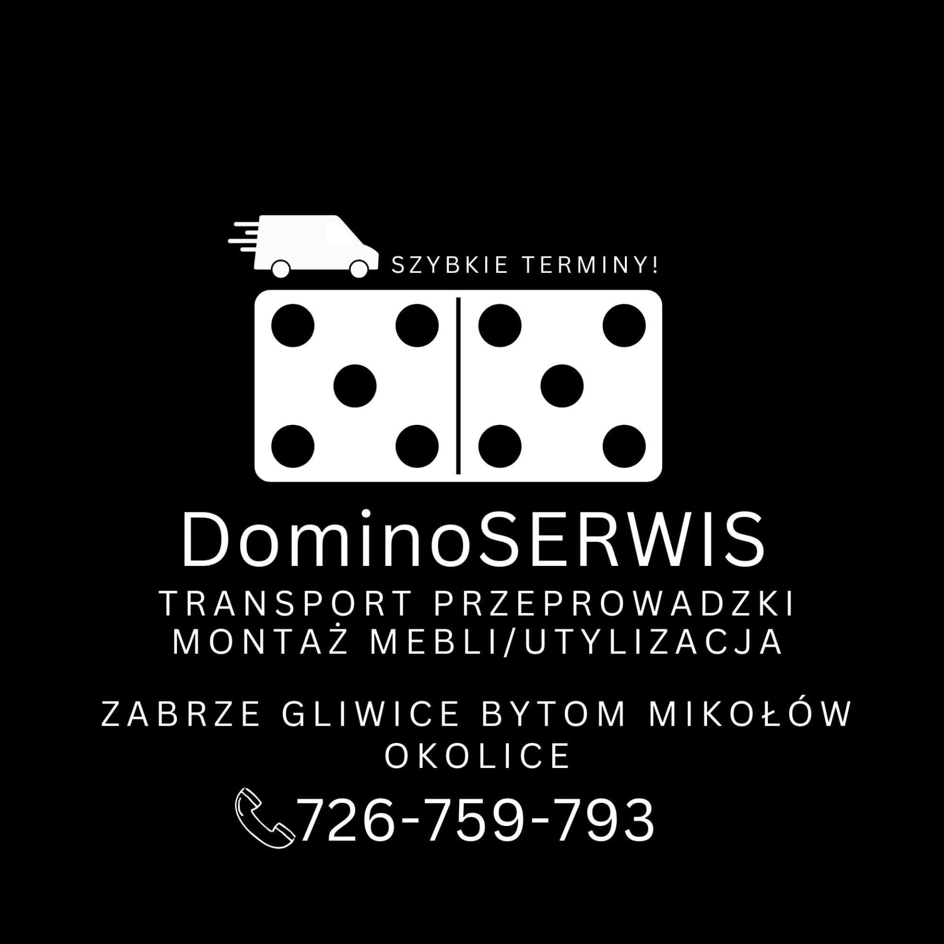DominoSERWIS