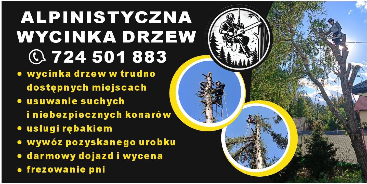 Alpinistyczna Wycinka Drzew
