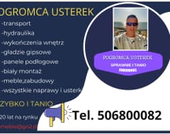 Pogromca Usterek 