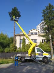 X-ROPE Wycinka Drzew