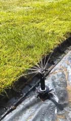Zdjęcie 4