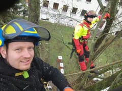 TreeTeam Mateusz Król 