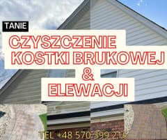 Jan Żuchowski