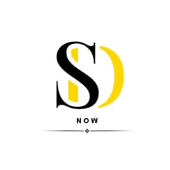 DS-NOW