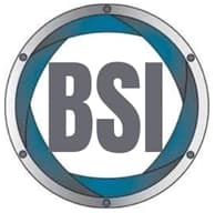 BSI Detektywi Biuro Służb Inf. Prywatny Detektyw