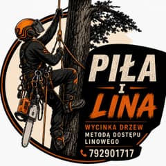 PIŁA i LINA wycinka drzew arborysta