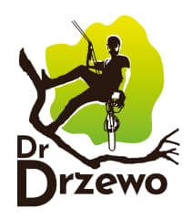 Marcel Dr. Drzewo