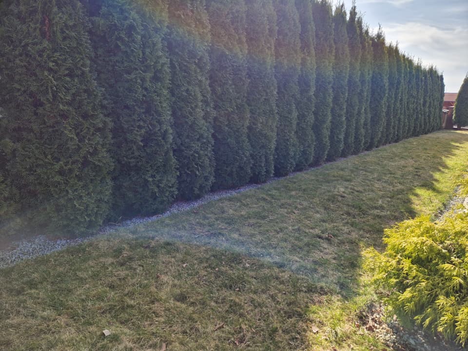 Zdjęcie 10
