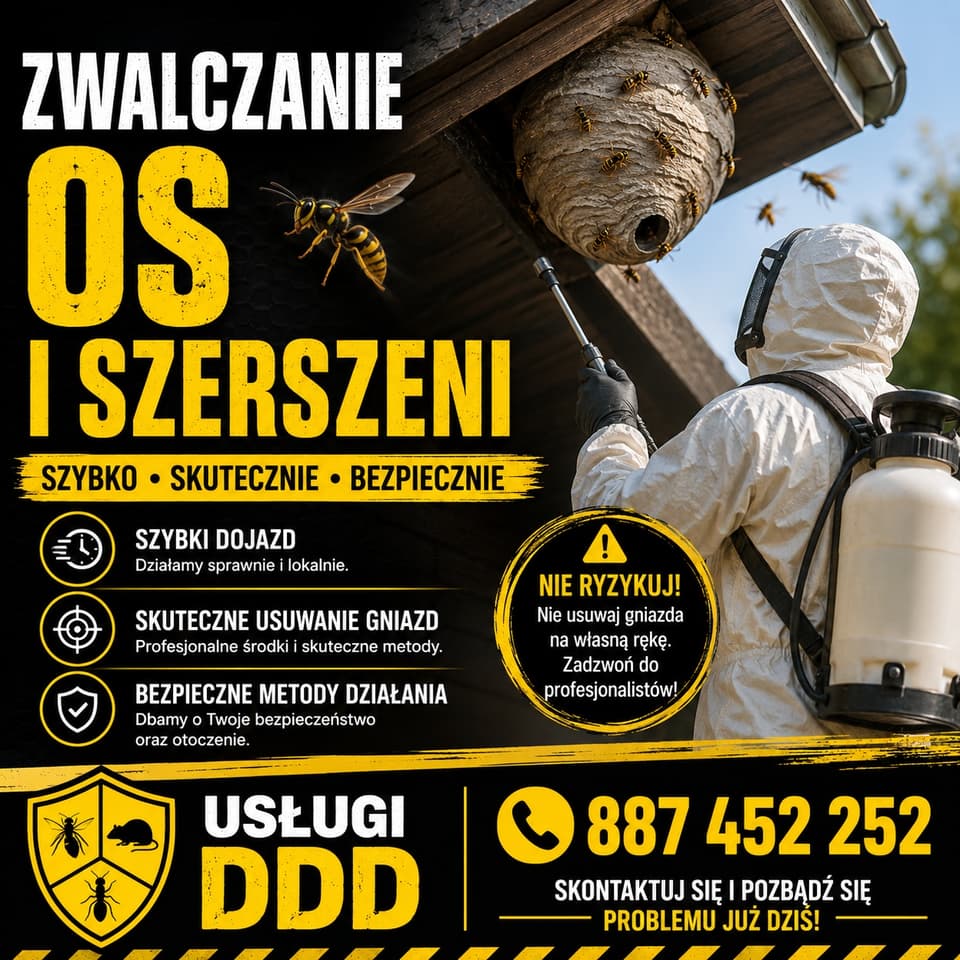 Zdjęcie 1