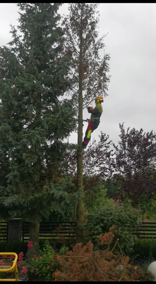 Zdjęcie 10