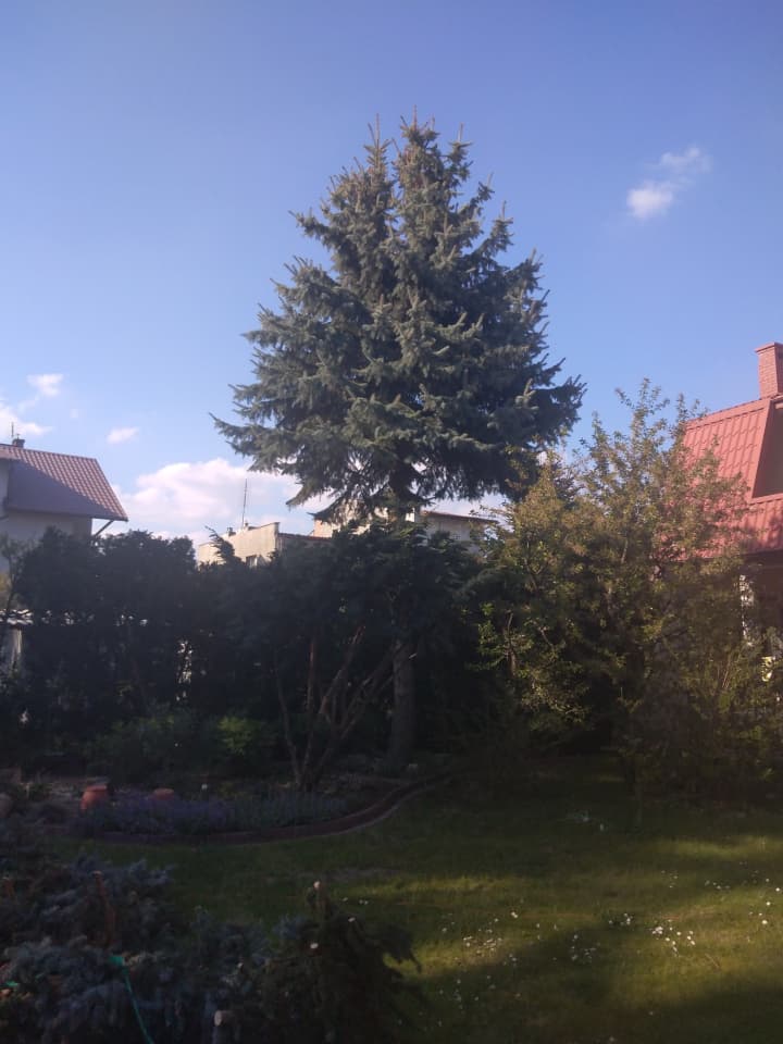 Zdjęcie 25