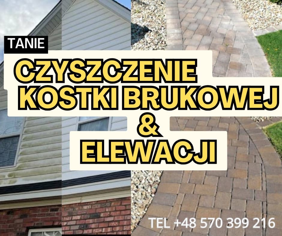 Zdjęcie 2