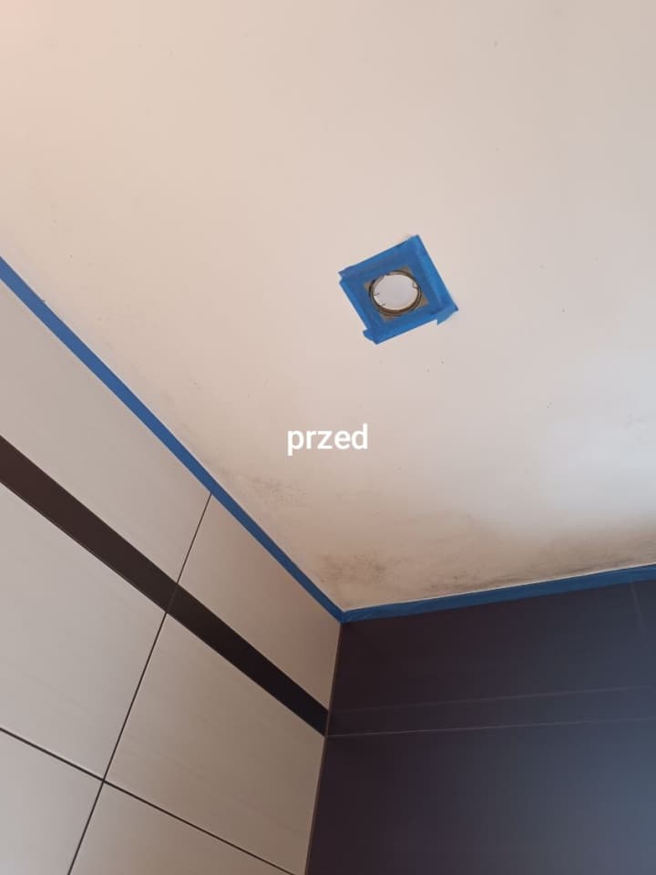 Zdjęcie 9