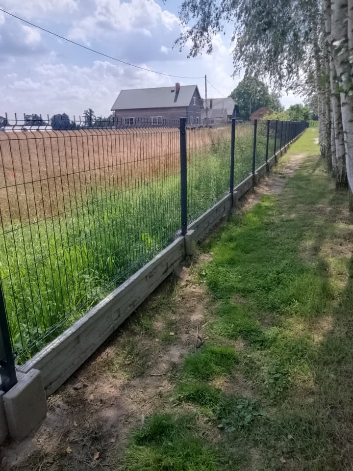 Zdjęcie 6