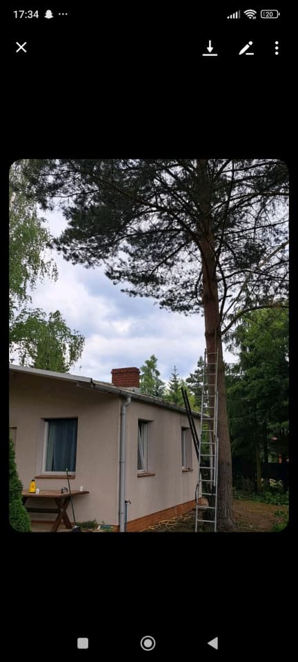 Zdjęcie 7