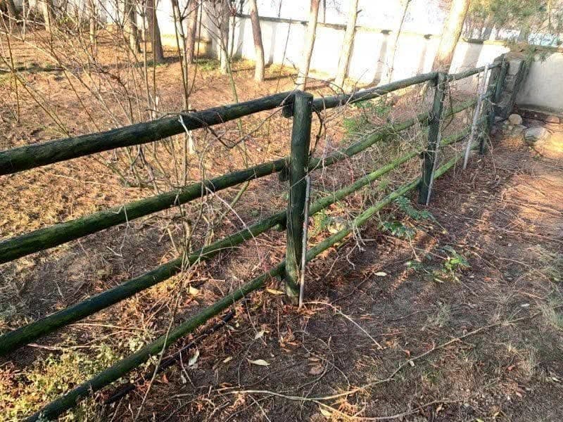 Zdjęcie 6