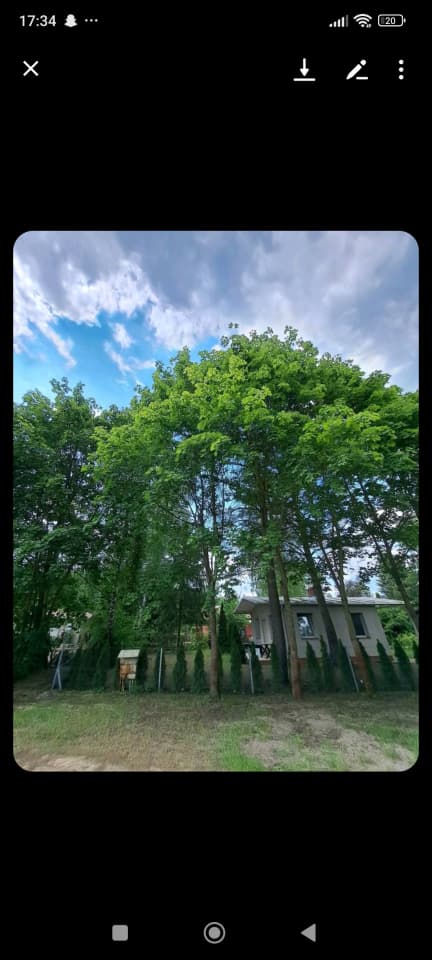 Zdjęcie 5