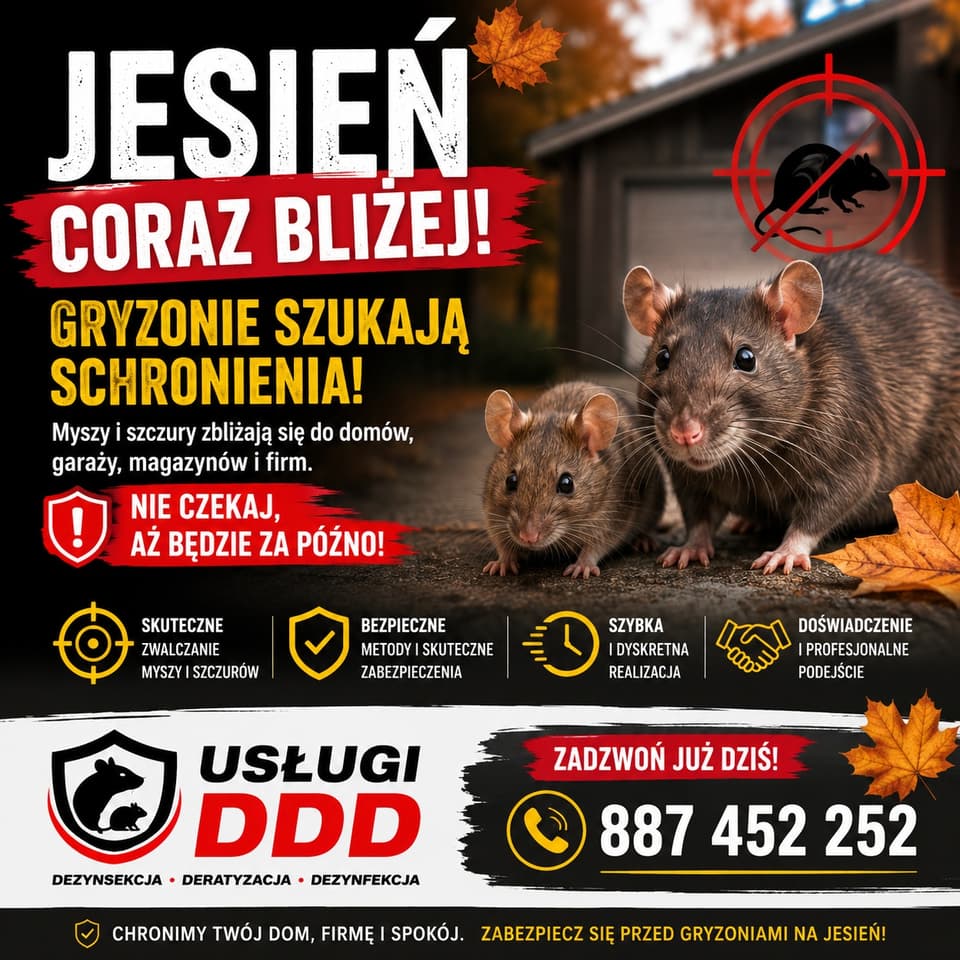 Zdjęcie 4