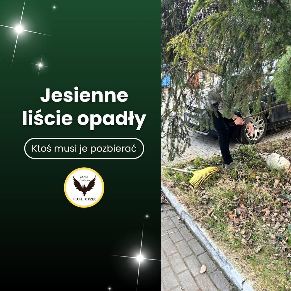 Zdjęcie 6