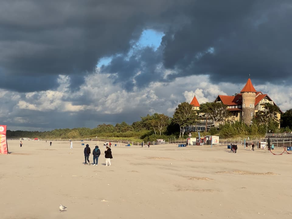 Zdjęcie 10