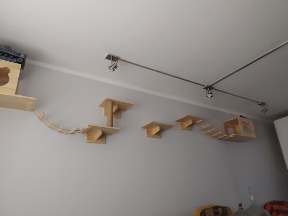 Zdjęcie 14