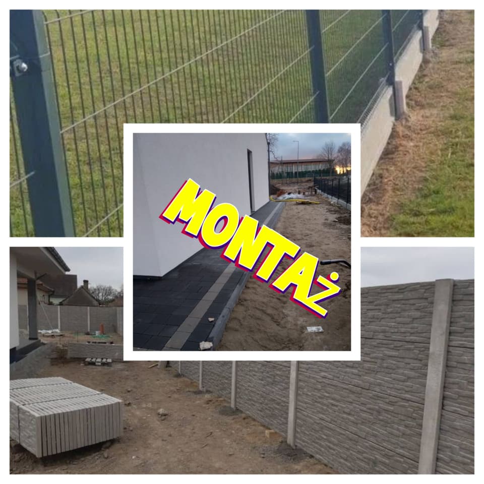 Zdjęcie 1
