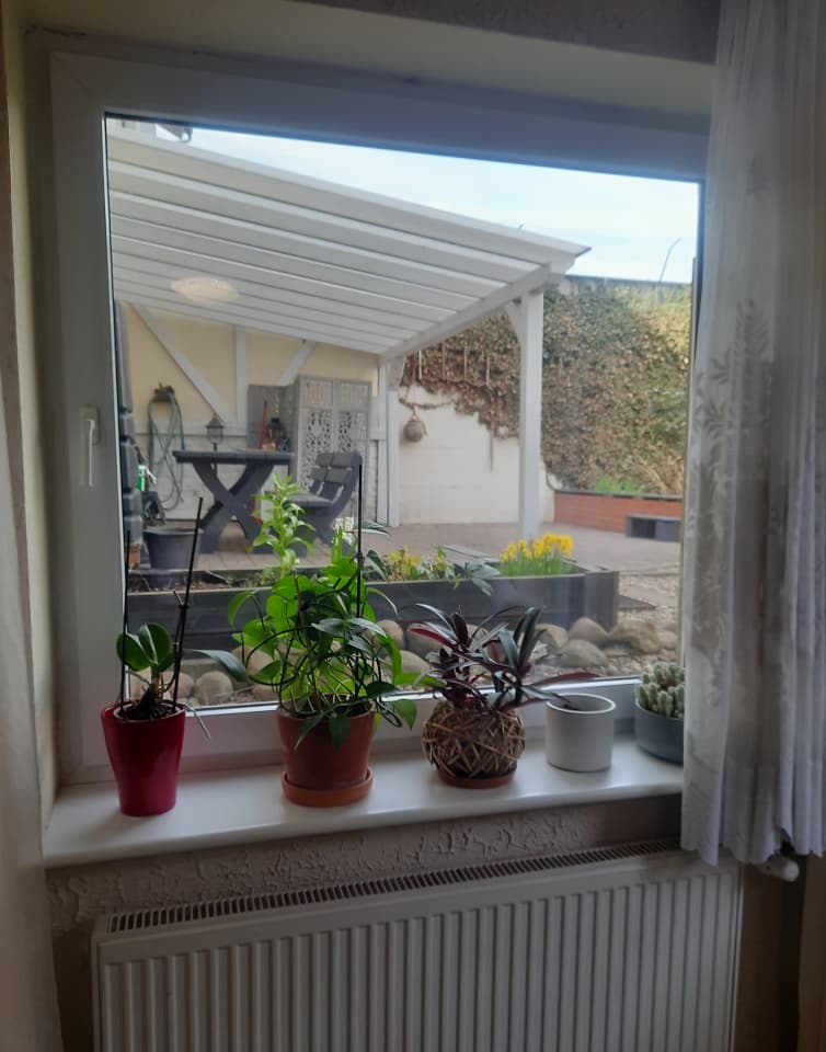 Zdjęcie 3