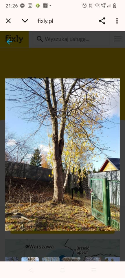 Zdjęcie 3