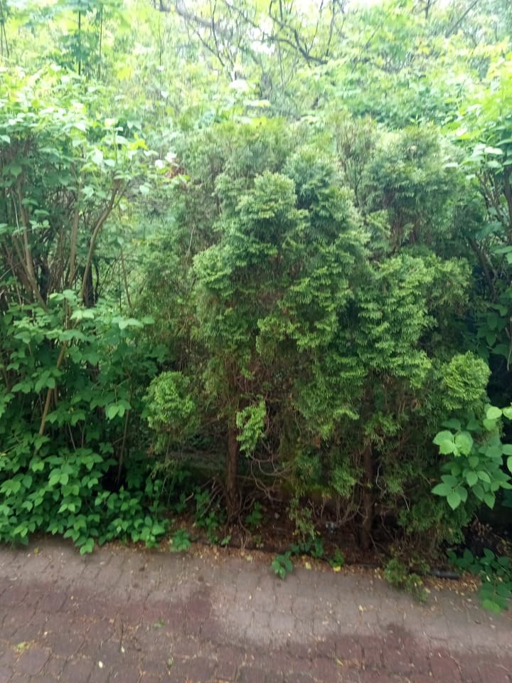 Zdjęcie 5