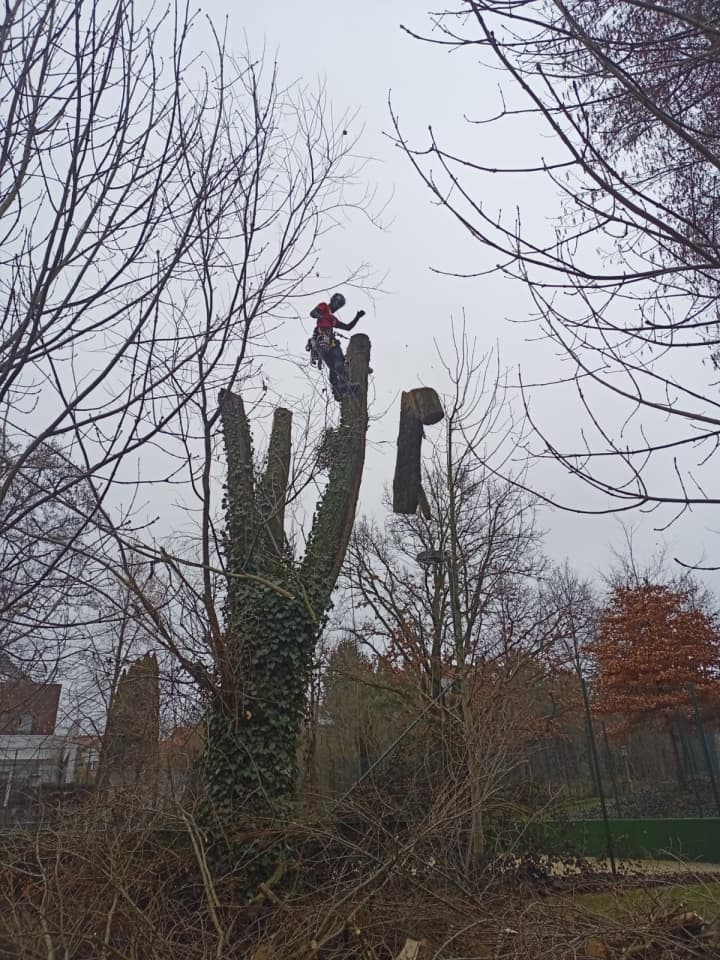 Zdjęcie 3