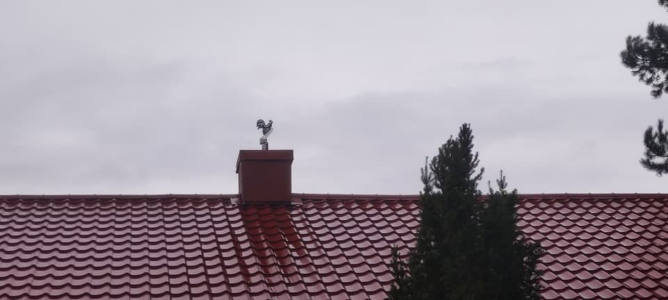 Zdjęcie 8