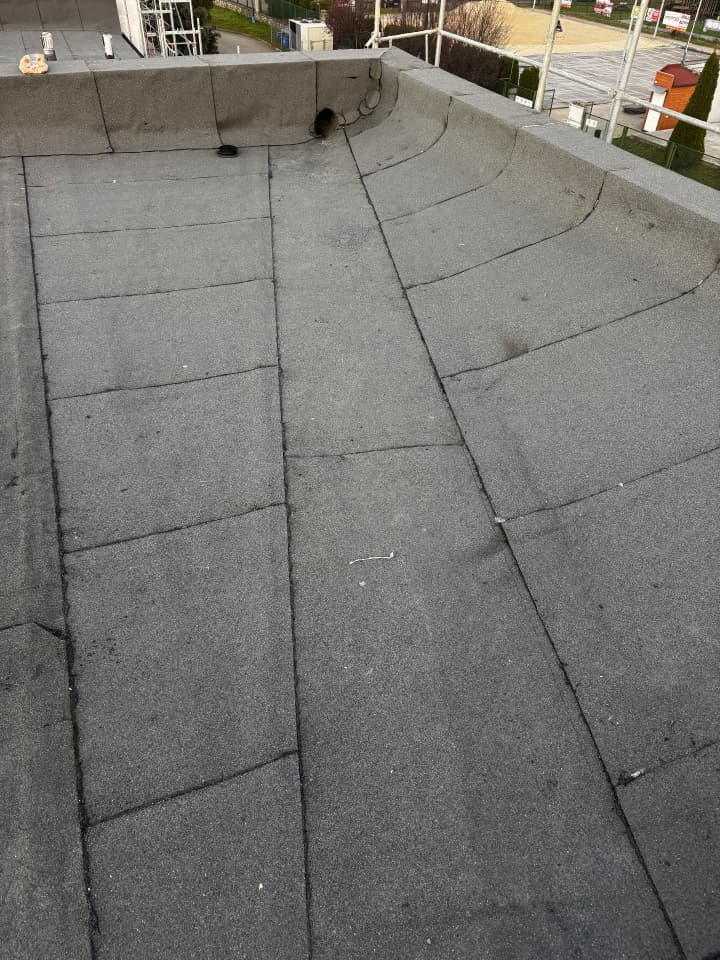 Zdjęcie 3