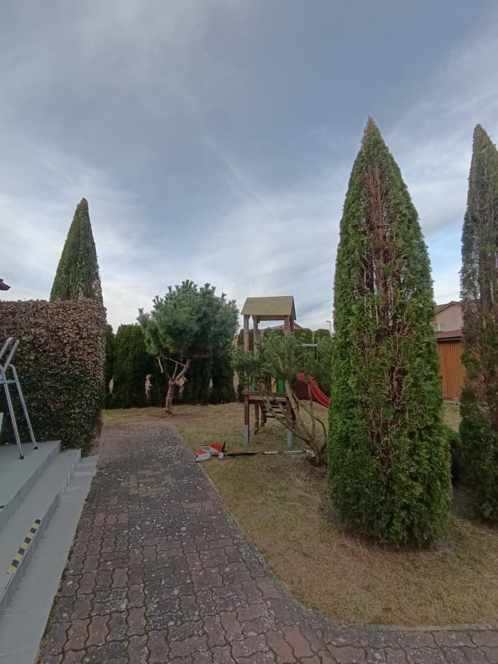 Zdjęcie 6