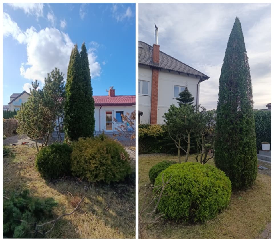 Zdjęcie 11