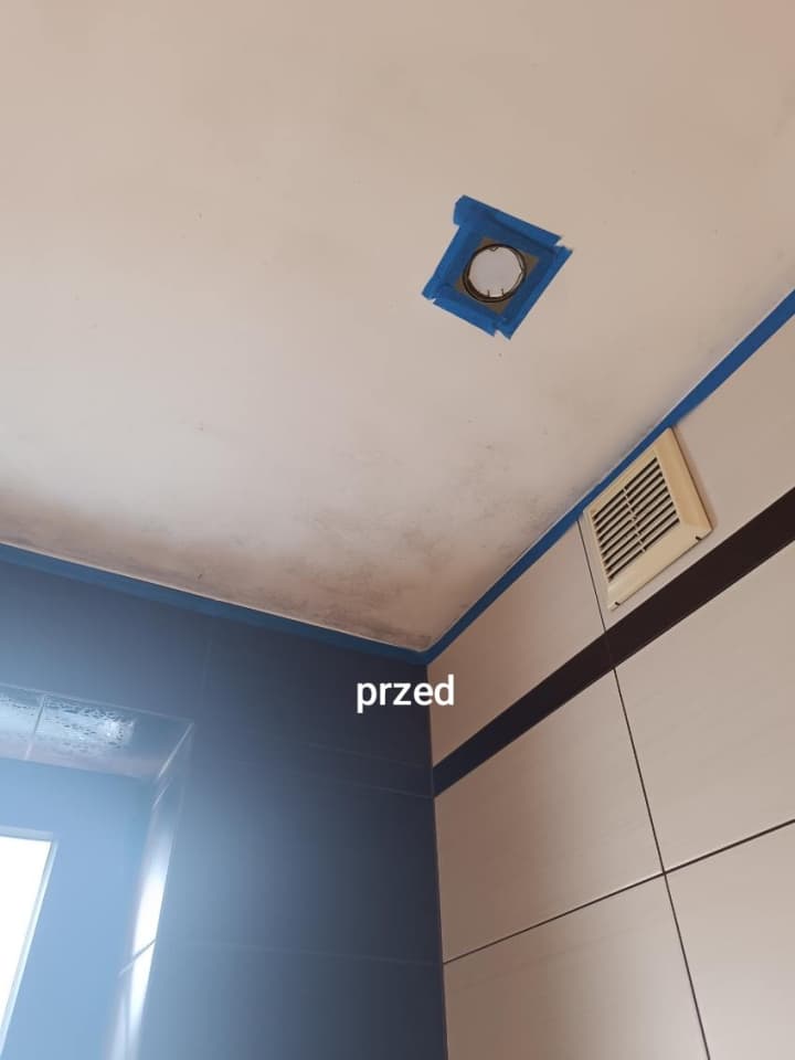 Zdjęcie 1
