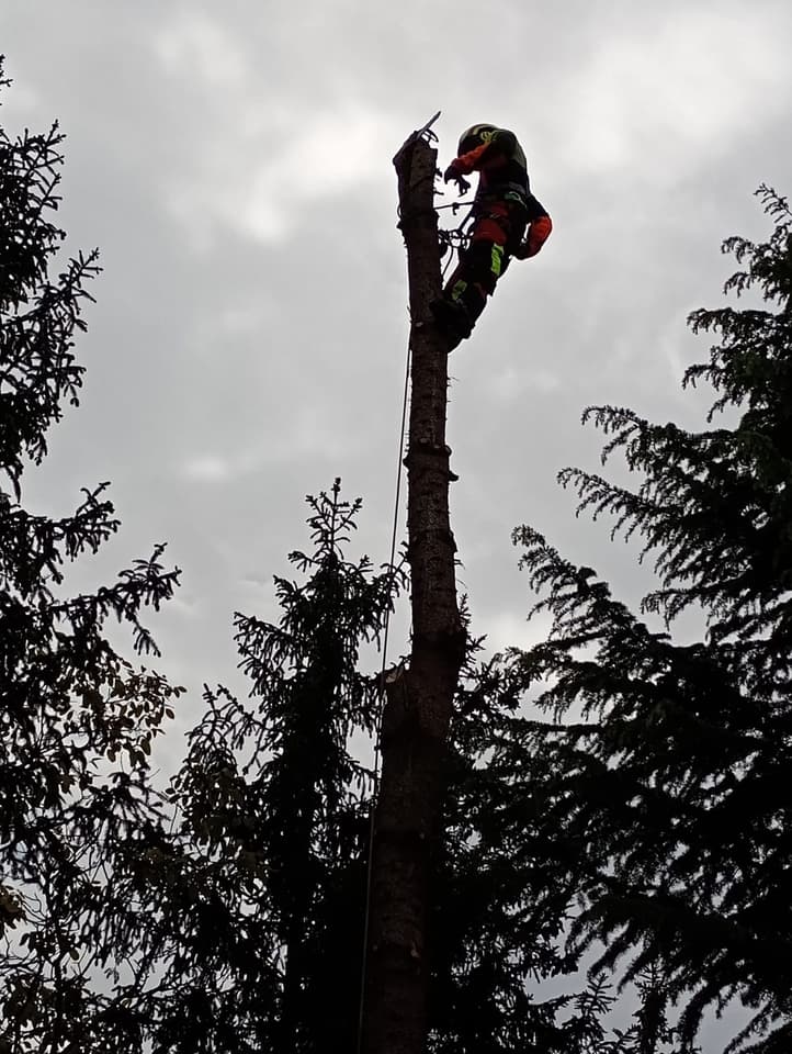 Zdjęcie 13