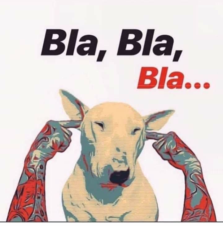 Zdjęcie 7