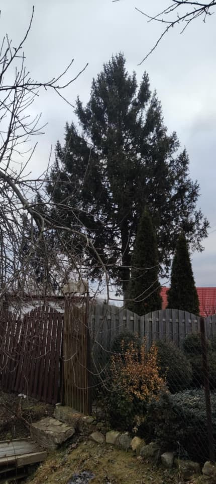 Zdjęcie 2