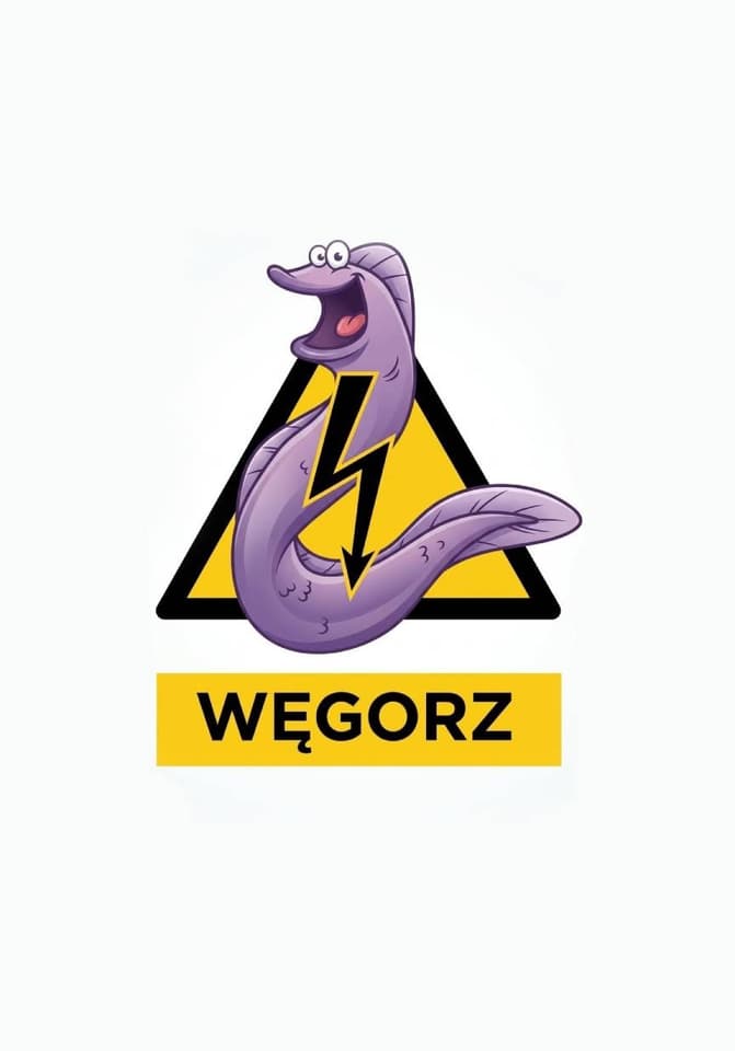 Zdjęcie 1