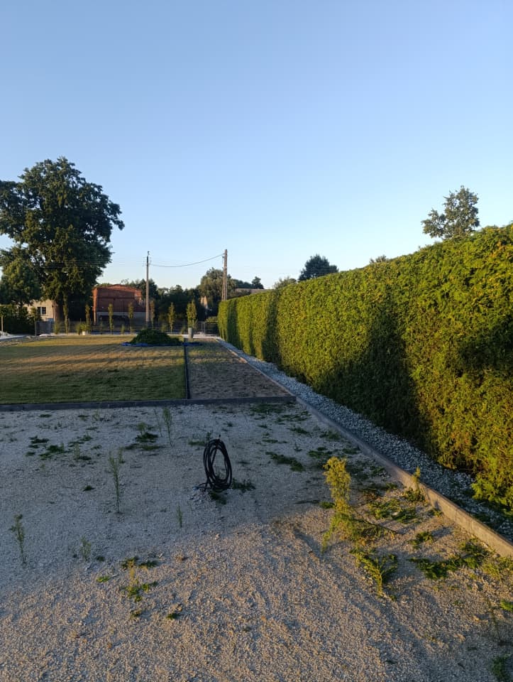Zdjęcie 10
