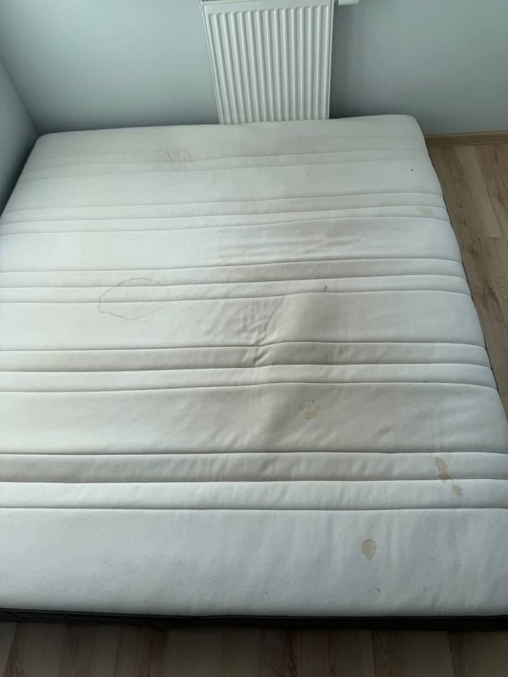 Zdjęcie 1