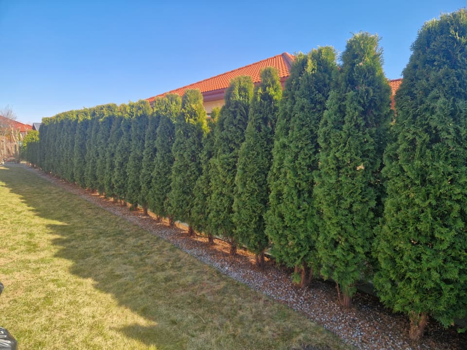 Zdjęcie 15