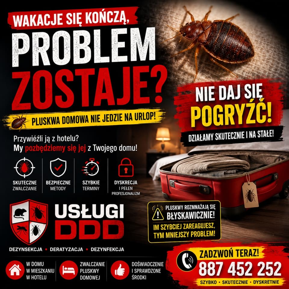 Zdjęcie 3