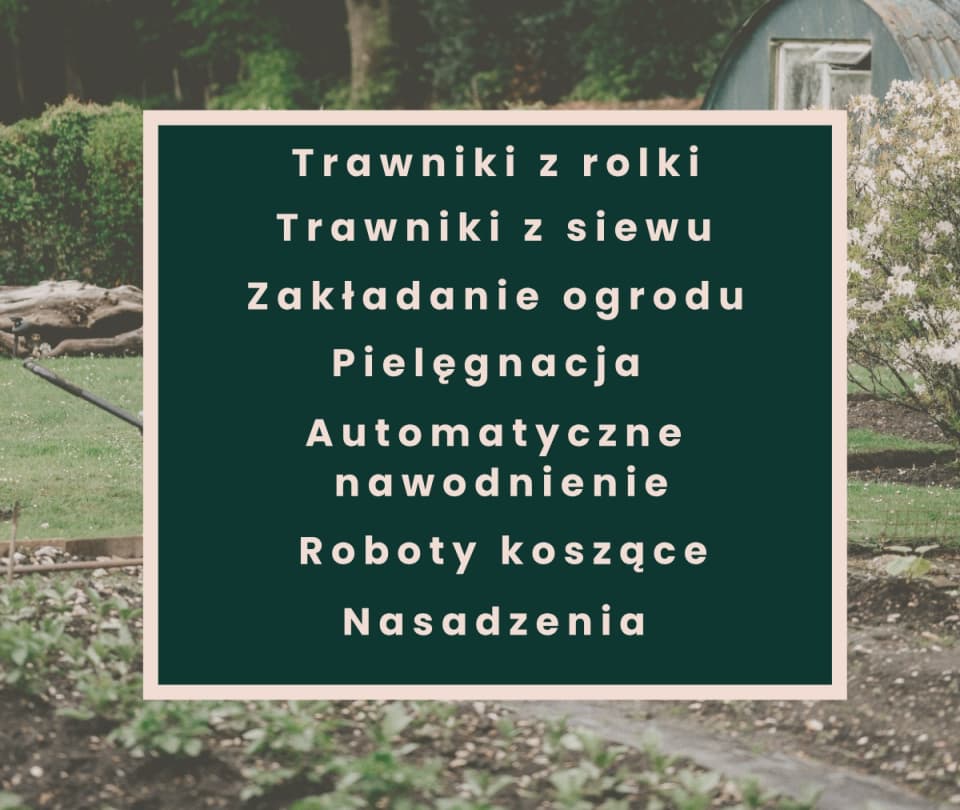 Zdjęcie 3