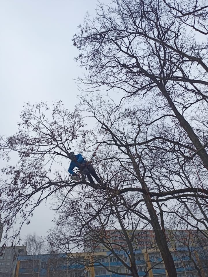 Zdjęcie 2